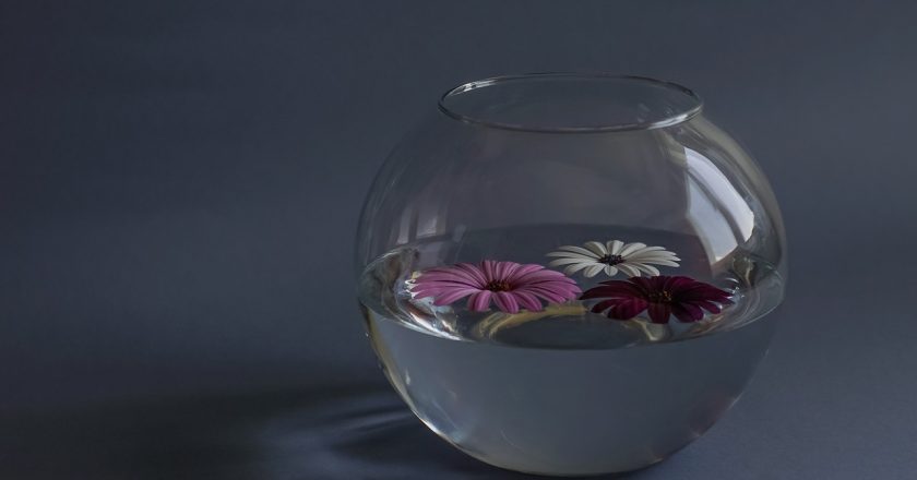 Ozdobne naczynia szklane – elegancki dodatek do wnętrza