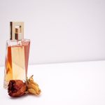 Dolce Gabbana perfumy damskie i ich odpowiedniki